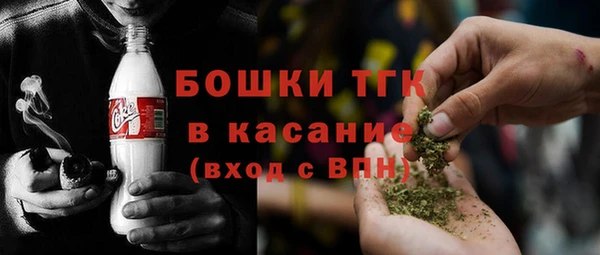индика Абинск
