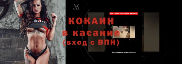 индика Абинск