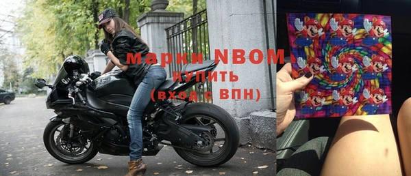 индика Абинск