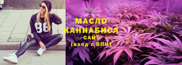 индика Абинск